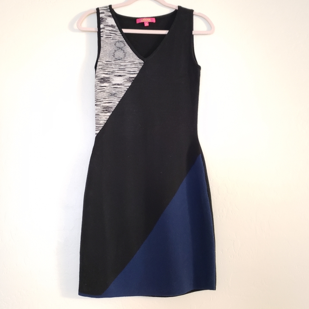 catherine malandrino V-neck colorblock knit dress